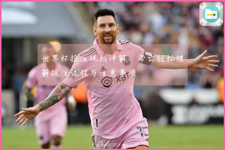 世界杯投注规则详解，带你轻松理解投注流程与注意事项