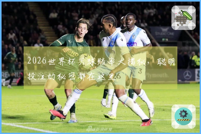 2026世界杯买球赔率大揭秘，聪明投注的秘密都在这里