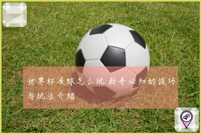 世界杯滚球怎么玩 新手必知的技巧与玩法介绍