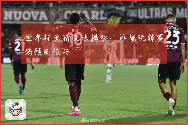 世界杯竞猜玩法揭秘，谁能玩转赛场预测技巧