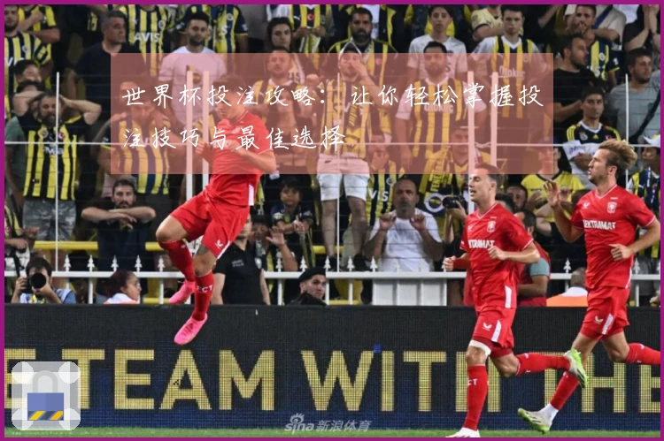 世界杯投注攻略：让你轻松掌握投注技巧与最佳选择