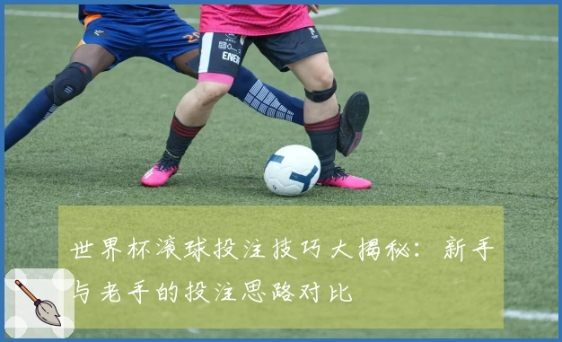 世界杯滚球投注技巧大揭秘:新手与老手的投注思路对比