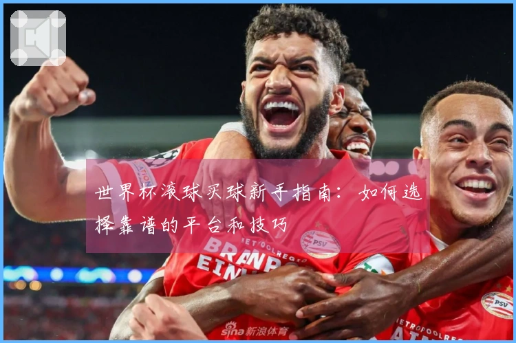 世界杯滚球买球新手指南:如何选择靠谱的平台和技巧