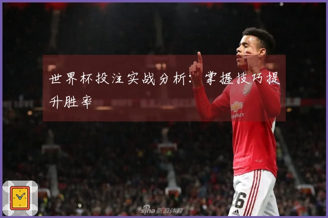 世界杯投注实战分析：掌握技巧提升胜率
