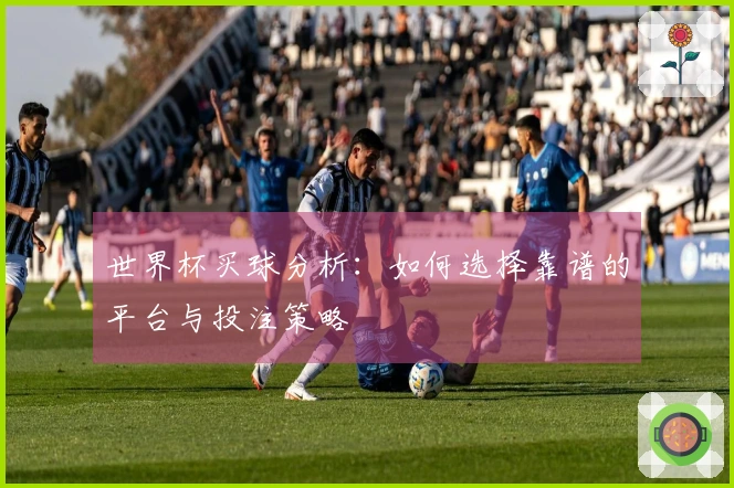 世界杯买球分析：如何选择靠谱的平台与投注策略