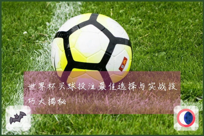世界杯买球投注最佳选择与实战技巧大揭秘