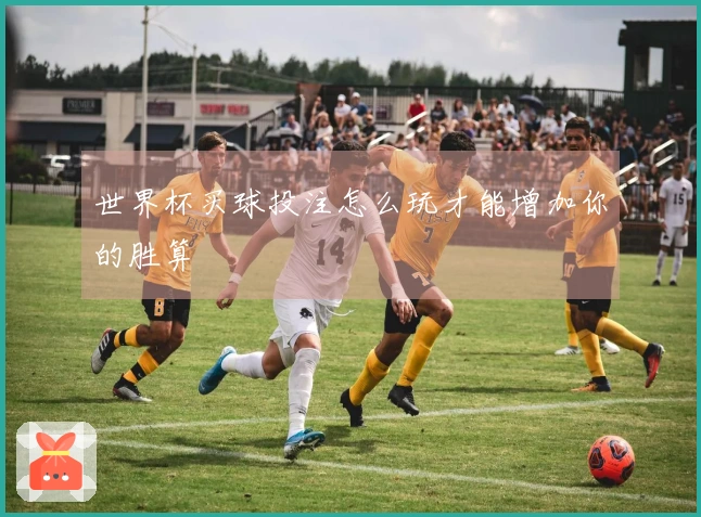 世界杯买球投注怎么玩才能增加你的胜算