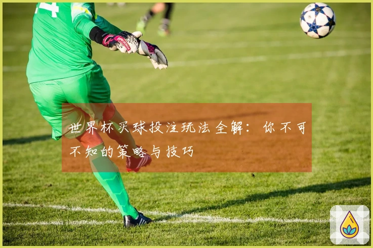 世界杯买球投注玩法全解:你不可不知的策略与技巧