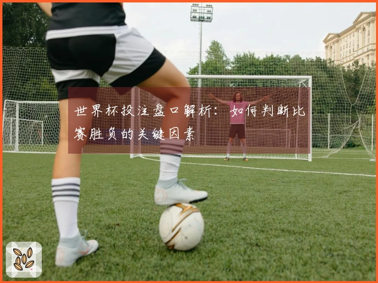 世界杯投注盘口解析：如何判断比赛胜负的关键因素