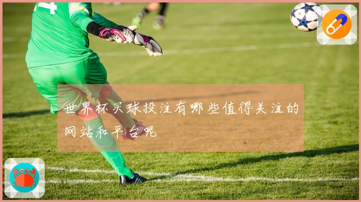 世界杯买球投注有哪些值得关注的网站和平台呢