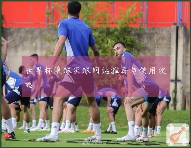 世界杯滚球买球网站推荐与使用攻略