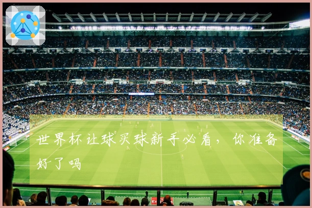 世界杯让球买球新手必看，你准备好了吗