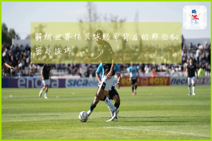解析世界杯买球赔率背后的那些秘密与技巧