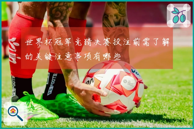 世界杯冠军竞猜决赛投注前需了解的关键注意事项有哪些