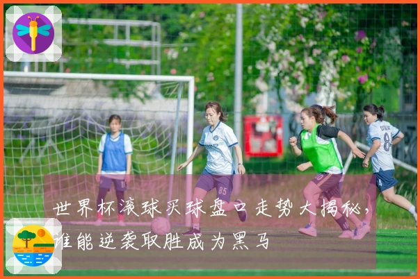 世界杯滚球买球盘口走势大揭秘，谁能逆袭取胜成为黑马