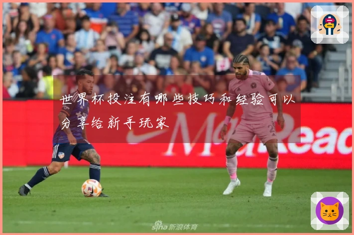 世界杯投注有哪些技巧和经验可以分享给新手玩家