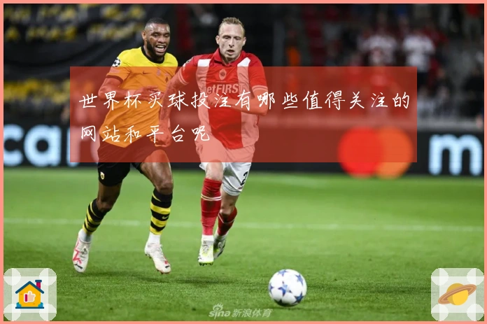 世界杯买球投注有哪些值得关注的网站和平台呢