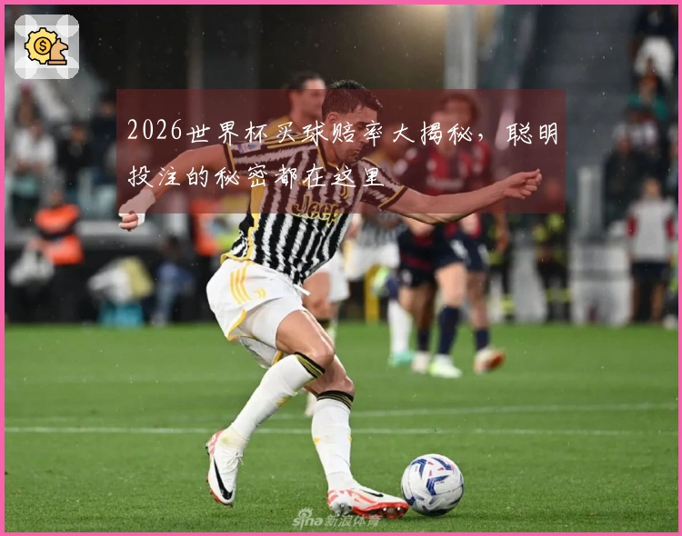 2026世界杯买球赔率大揭秘，聪明投注的秘密都在这里