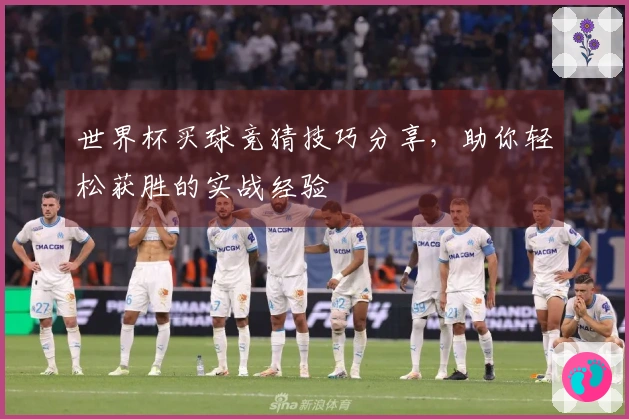 世界杯买球竞猜技巧分享，助你轻松获胜的实战经验