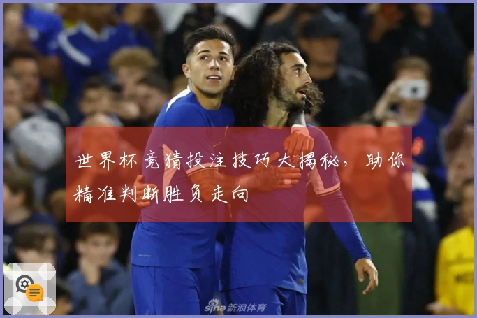 世界杯竞猜投注技巧大揭秘,助你精准判断胜负走向