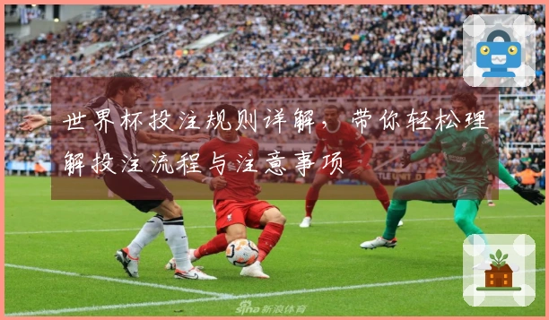 世界杯投注规则详解，带你轻松理解投注流程与注意事项