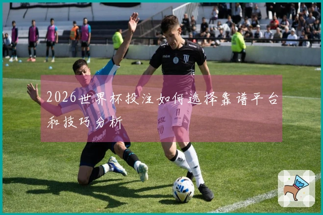 2026世界杯投注如何选择靠谱平台和技巧分析