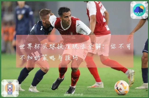 世界杯买球投注玩法全解：你不可不知的策略与技巧