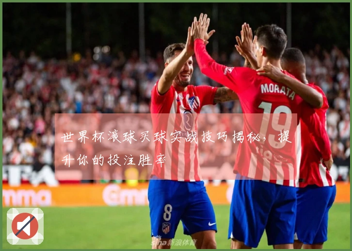 世界杯滚球买球实战技巧揭秘，提升你的投注胜率